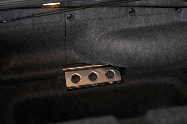 130623 kame 2 DSC_1121.jpg